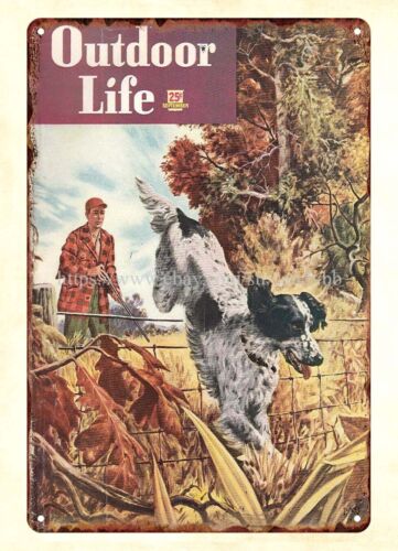 in home decor 1948 OUTDOOR LIF - Hunting Dog Outdoor review and price