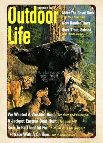 office wall decor 1967 Outdoor - Hunting Dog Outdoor review and price