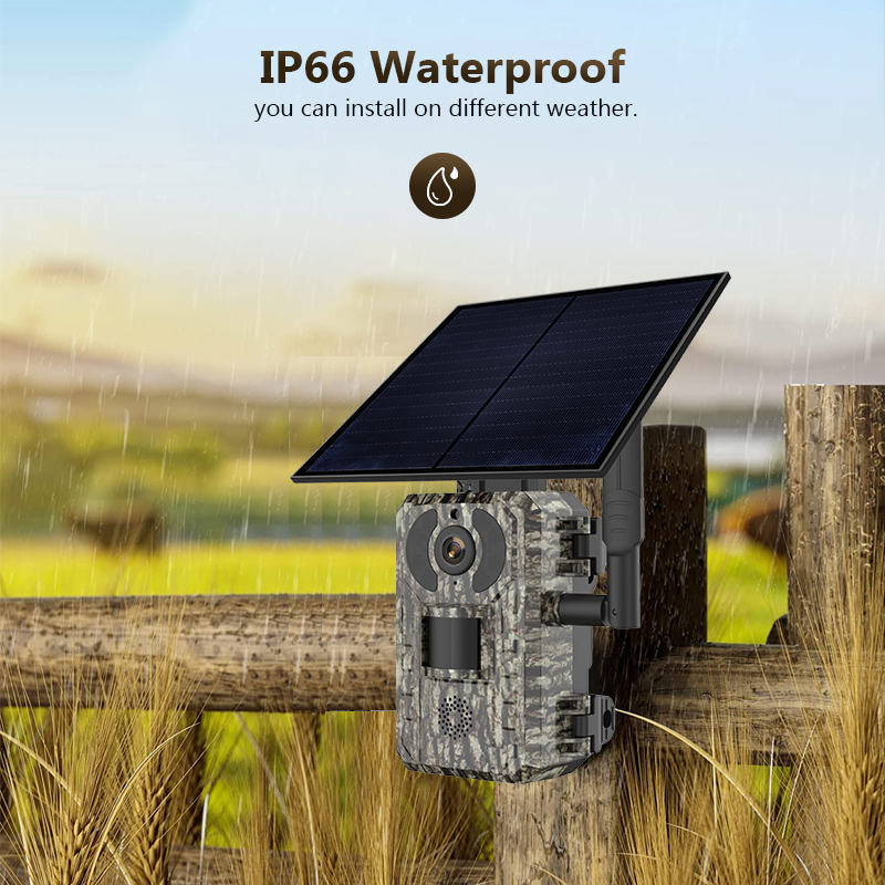 4G 4MP Outdoor Wildlife Huntin - Hunting Outdoor Game review and price