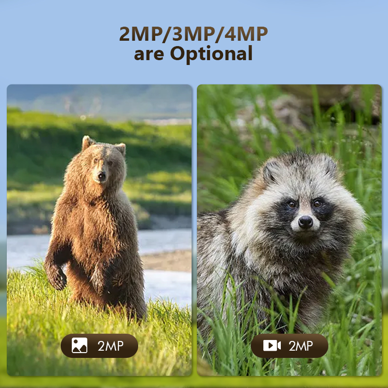 4G 4MP Outdoor Wildlife Huntin - Hunting Outdoor Game review and price
