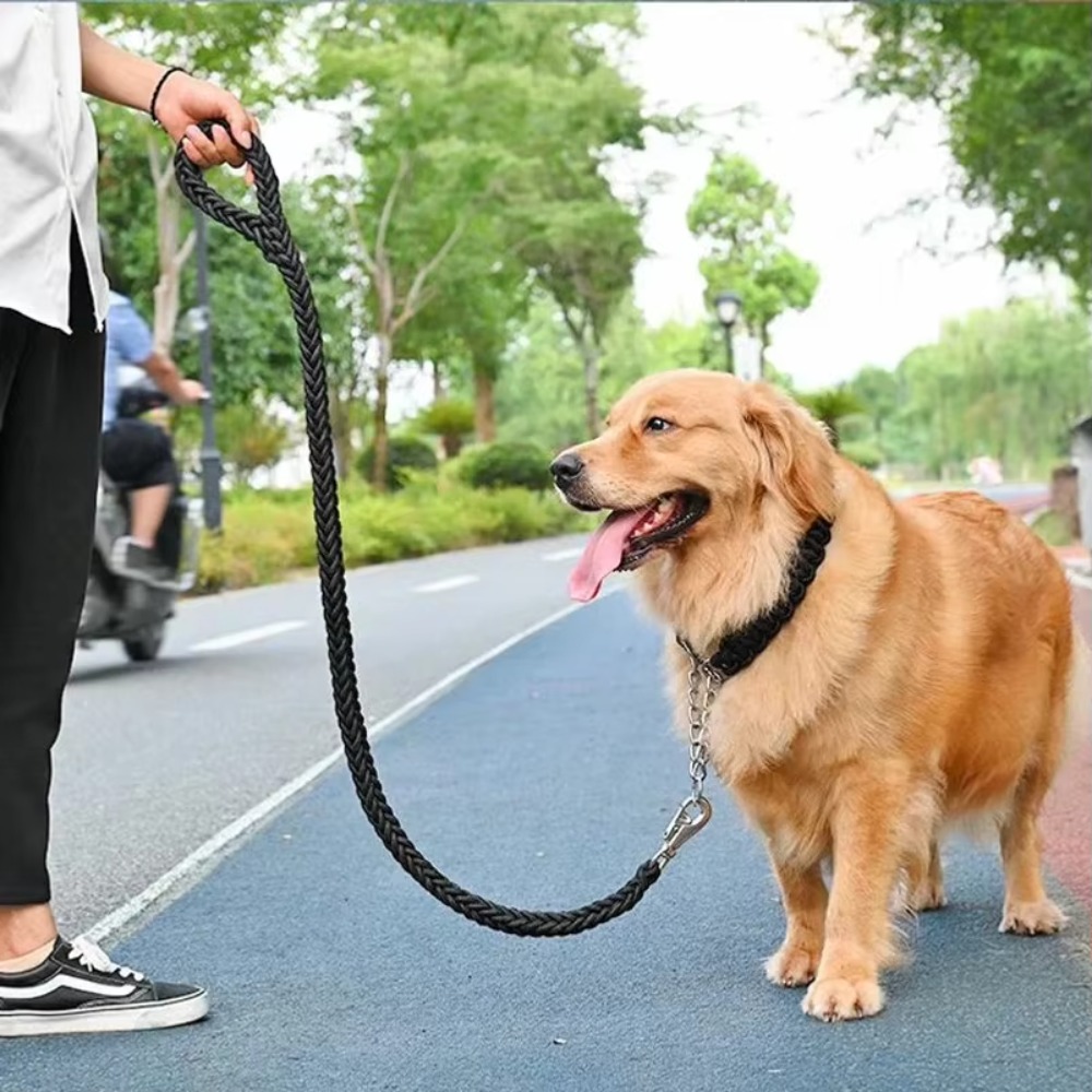 Heavy Duty Large Dog Leash Dur - Hunting Dog Outdoor review and price