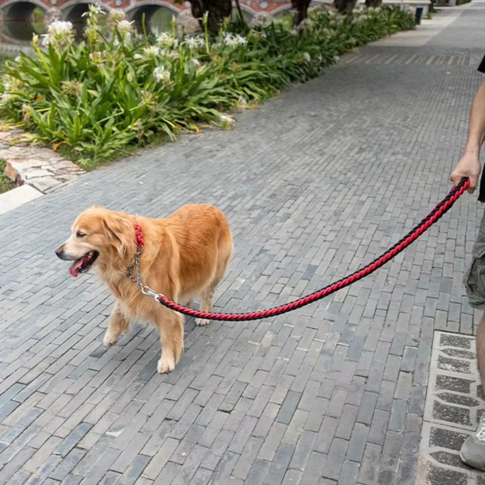 Heavy Duty Large Dog Leash Dur - Hunting Dog Outdoor review and price