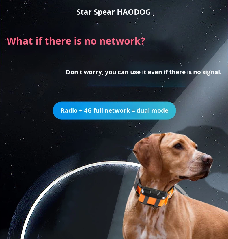 GPS and Radio Positioning Coll - Hunting Dog Outdoor review and price